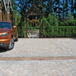 Holland Pavers, Double, Harvest Blend - Image 6