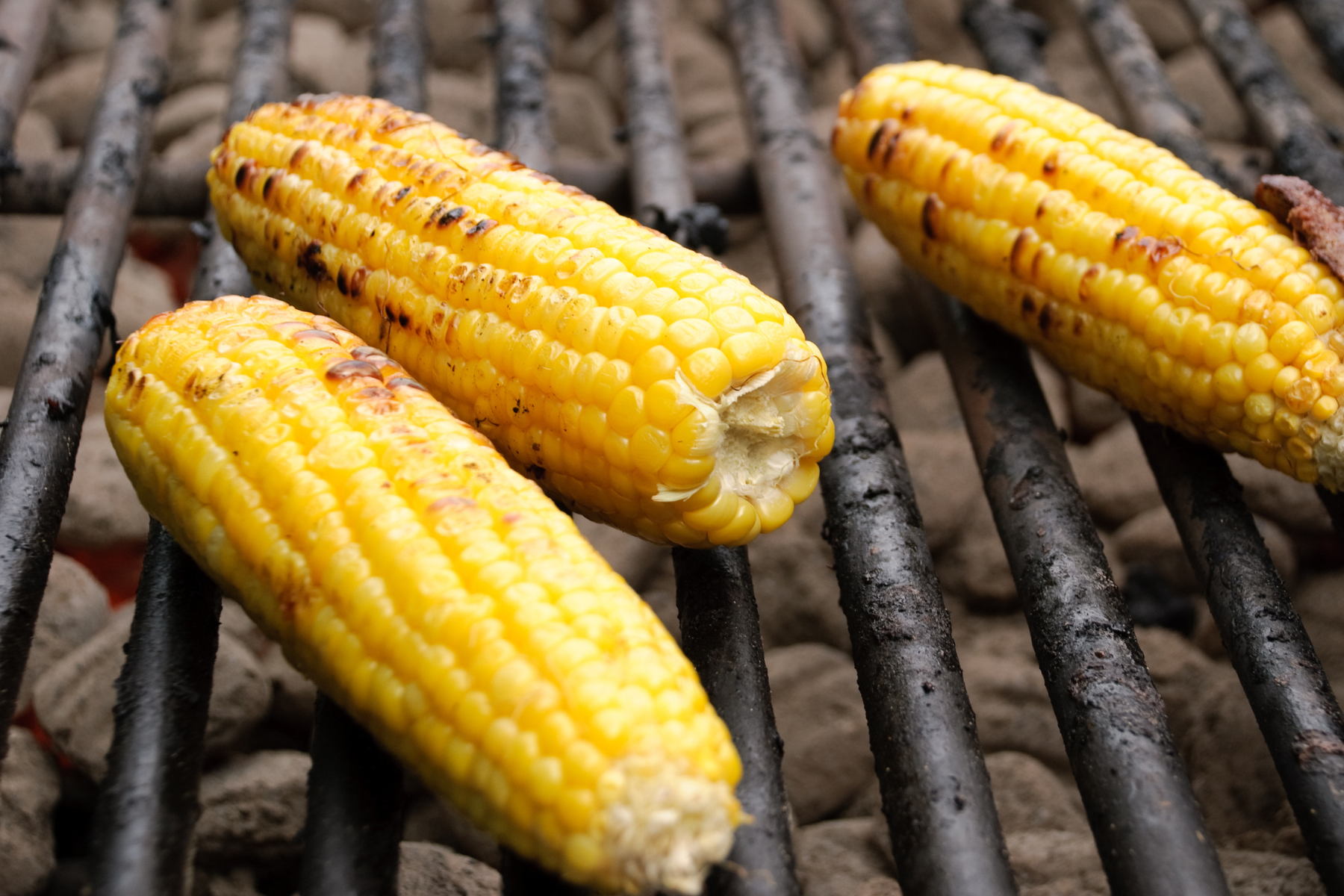 Corn on the cob cooking over a grill